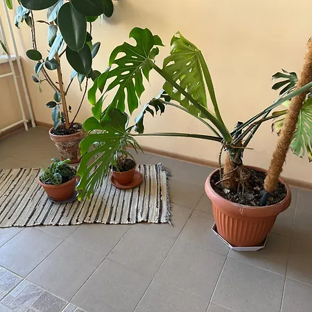 Apartamento Poilsio Apartamentai Palanga