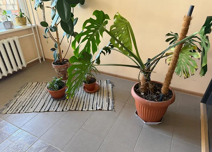 Apartment Poilsio Apartamentai Palanga